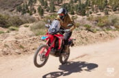 2021 Honda CRF300L and CRF300L Rally First Ride Review