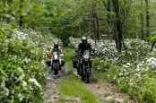 BDR Releases Its Second BDR-X Route, The “PA Wilds”