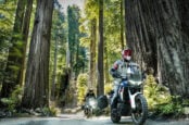 Riding In The Shadow Of Giants On California’s Redwood Coast