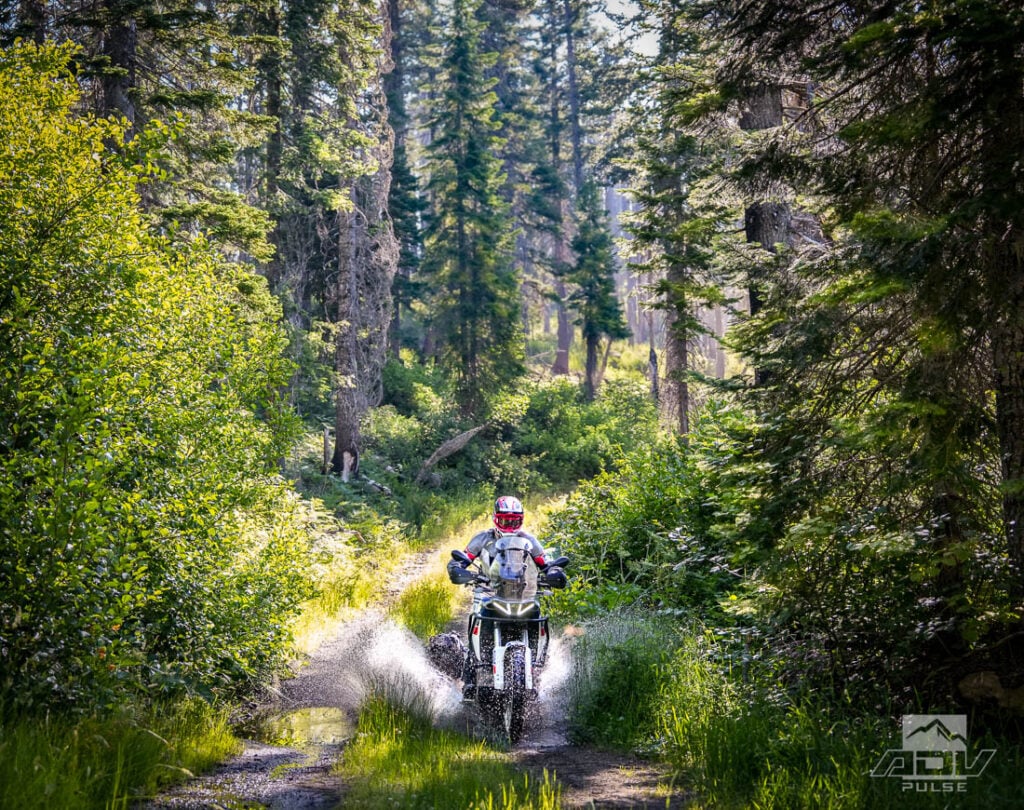Redwood Coast Adventure Ride