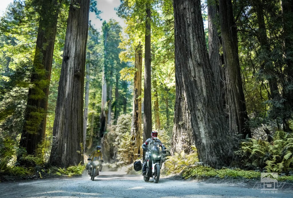 Redwood Coast Adventure Ride
