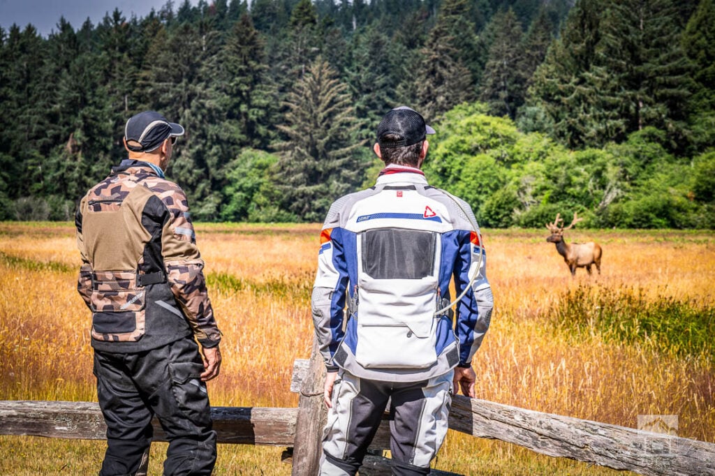 Redwood Coast Adventure Ride