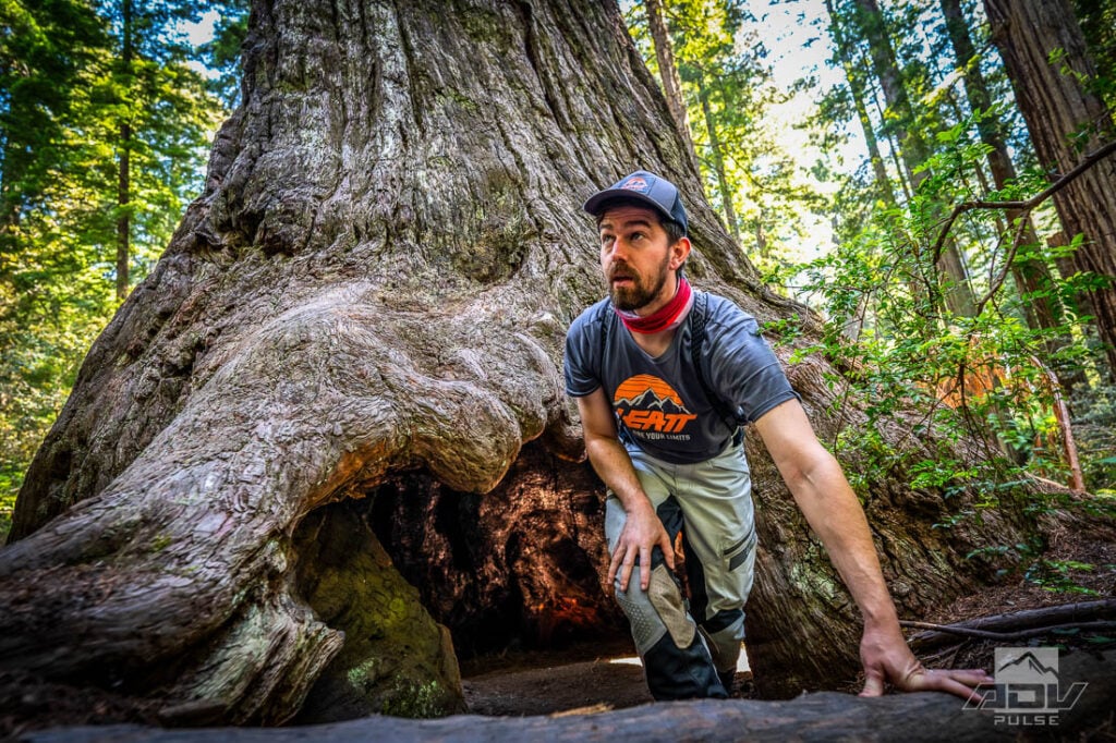 Redwood Coast Adventure Ride