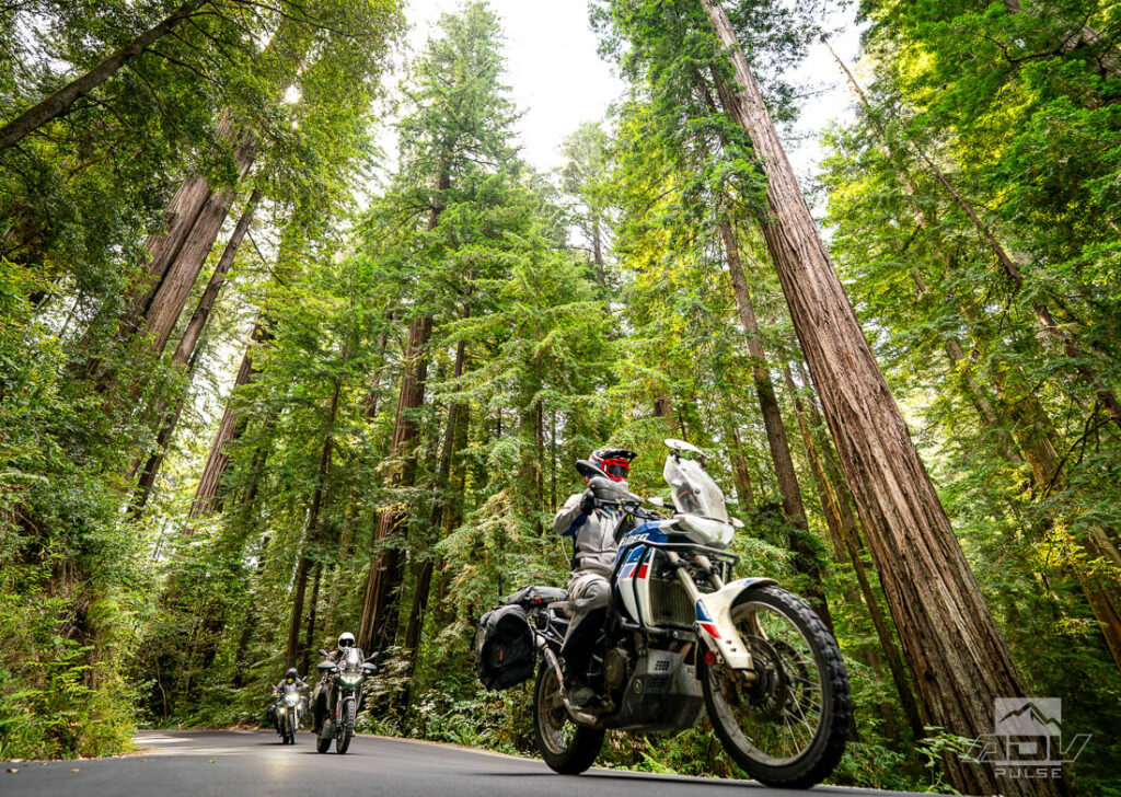 Redwood Coast Adventure Ride