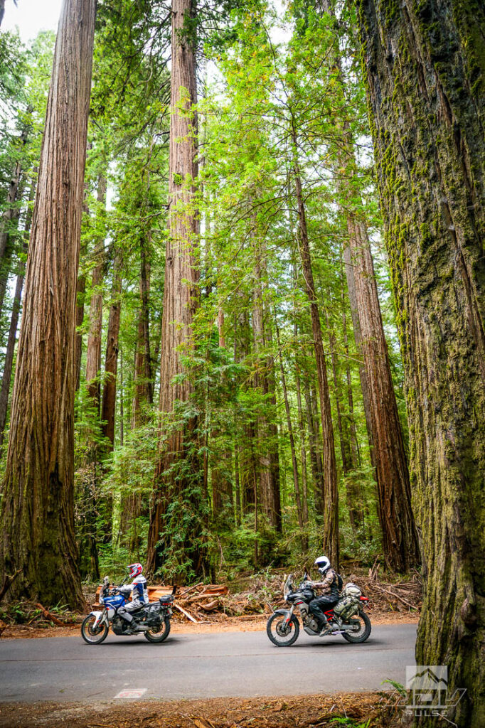 Redwood Coast Adventure Ride