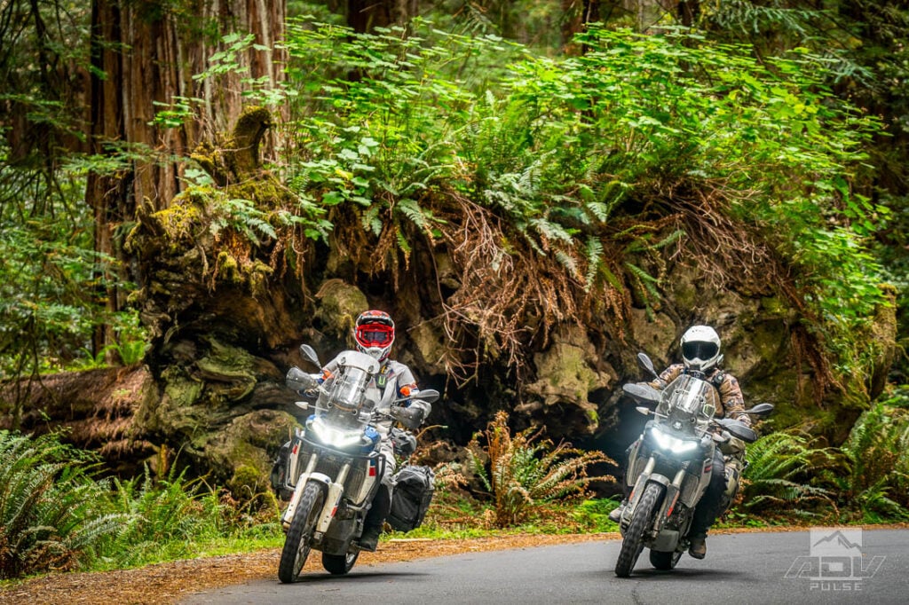 Redwood Coast Adventure Ride