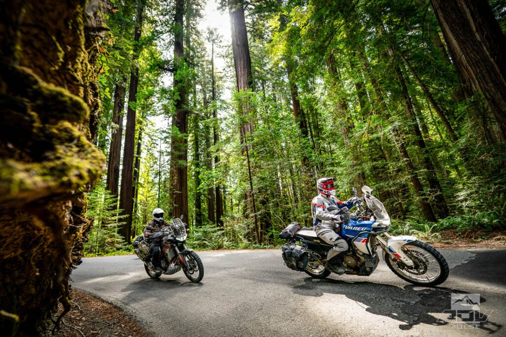 Redwood Coast Adventure Ride