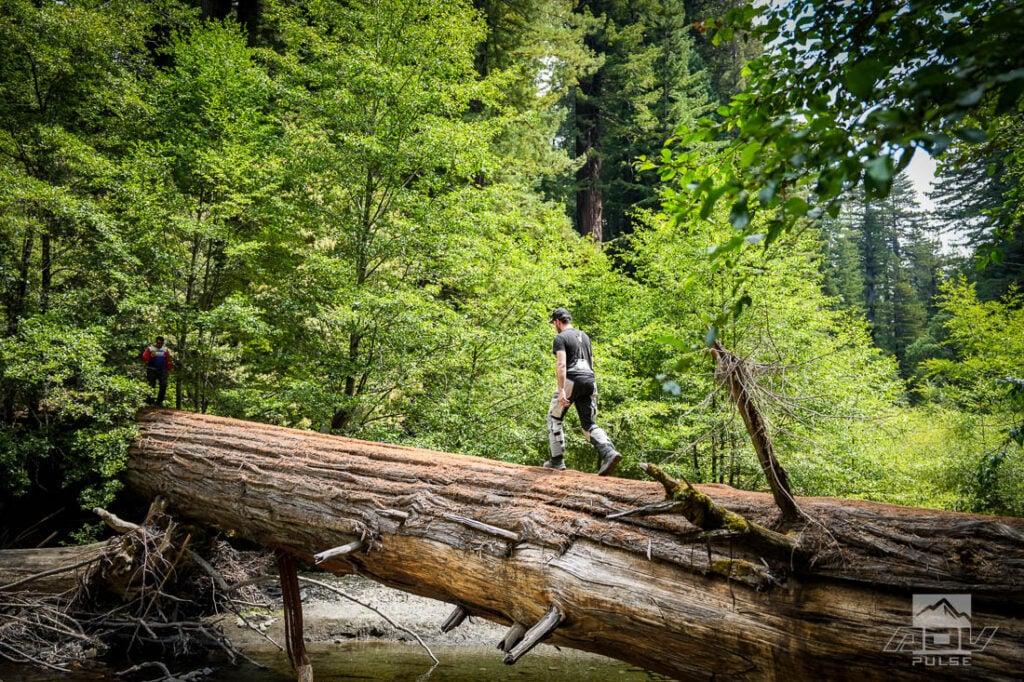 Redwood Coast Adventure Ride