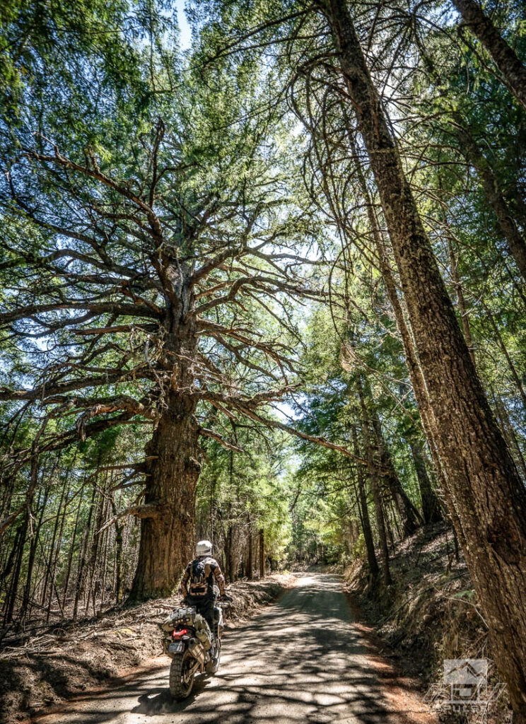 Redwood Coast Adventure Ride