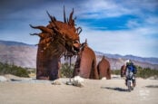 Slowing Down To Soak In The Strange In The Anza Borrego Desert