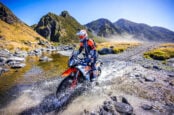 An Orange Wave Rips Across New Zealand’s North Island