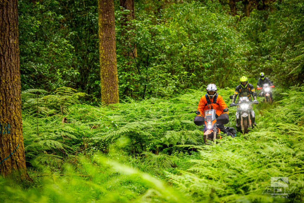 KTM Adventure Rally New Zealand
