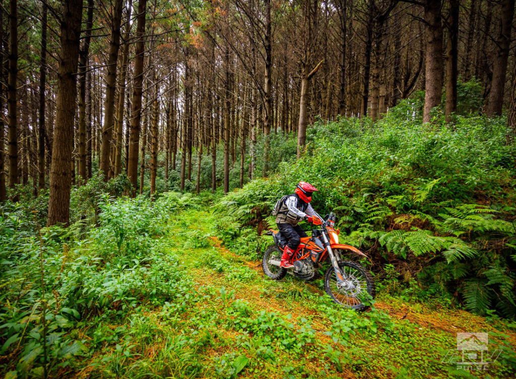 KTM Adventure Rally New Zealand