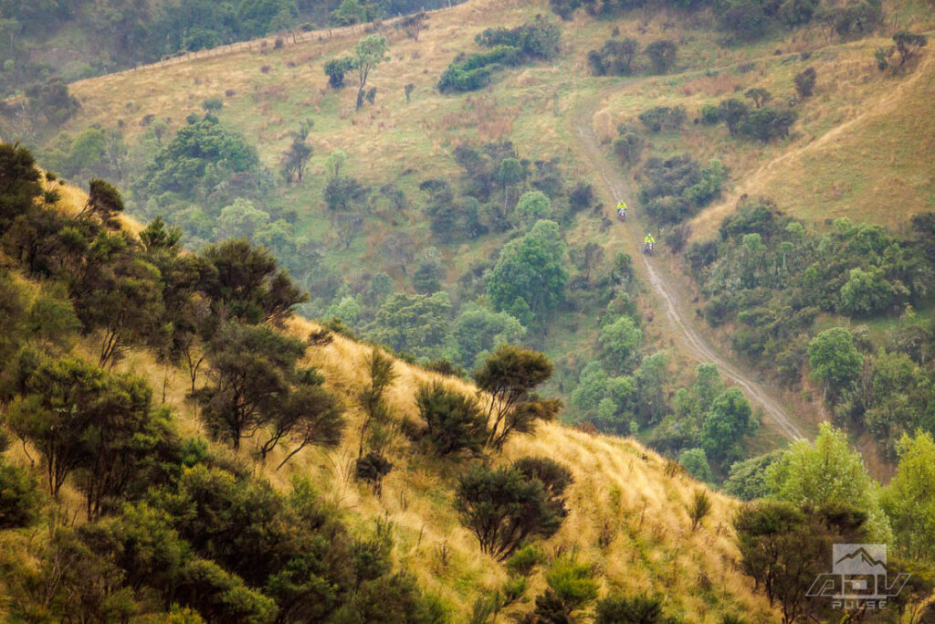 KTM Adventure Rally New Zealand