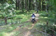 Riding off-road in Malaysia
