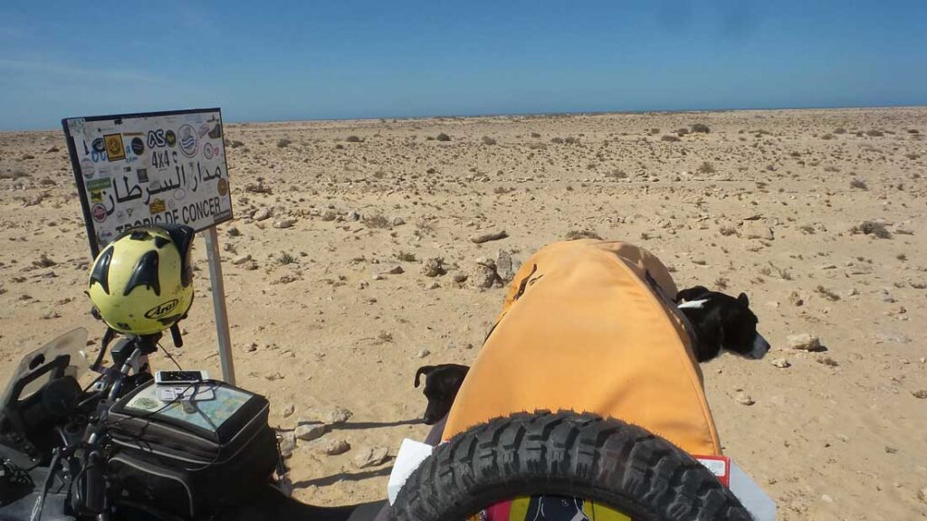Riding around the world with dogs