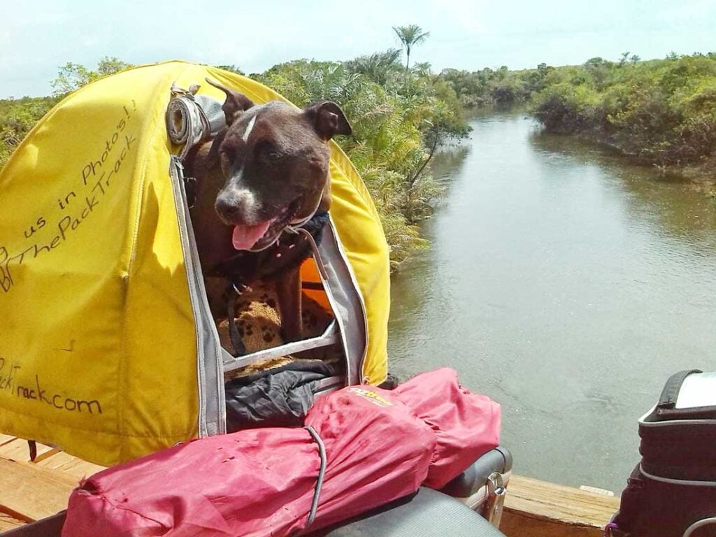 Riding around the world with dogs