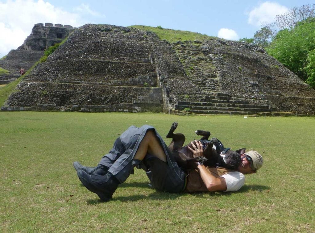 Riding around the world with dogs