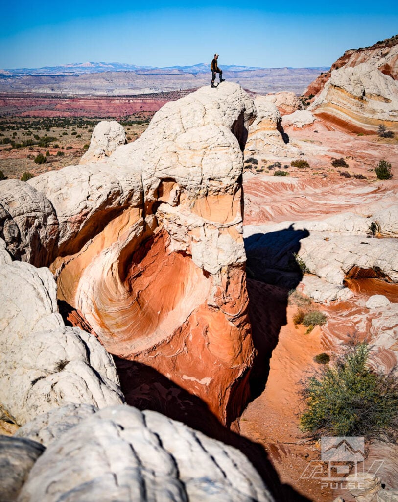 White Pocket in the Vermilion Cliffs